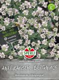 Amerikanische Bergminze "SPERLING