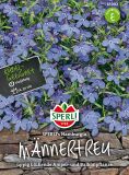 Lobelia erinus pendula "SPERLING