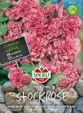 Alcea rosea "Fiesta Time" - Stockrose (Stockmalve)