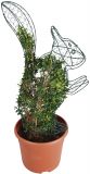 Buchsfiguren gr�n klein 