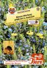 Blumenmischung "SPERLING