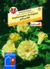 Datura metel var. chlorantha "SPERLING