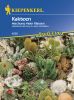 Kakteen "Mini-Mix schnellbl�hender Arten"