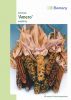 Ziermais "Amero", buntk�rnige Mischung - Zea mays