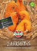 Zierk�rbis "Schwanenhals Lohengrin" - Cucurbita pepo