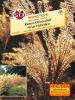 Miscanthus sinensis "Neue Hybriden"- Riesen-Chinaschilf