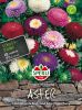 Callistephus chinensis "Pompon Mischung" - Sommer-Aster