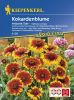 Gaillardia grandiflora "Arizona Sun" - Kokardenblume