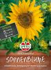 Helianthus annuus "SPERLING