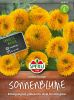 Helianthus annuus "Gelber Knirps" - Zwerg-Sonnenblume