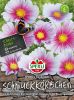 Cosmos bipinnatus "SPERLING