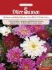 Cosmos bipinnatus "Double Click Mischung" - Schmuckk�rbchen