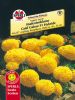 Tagetes erecta "Gold Galore" F1 Hybride - Studentenblume