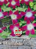 Ipomoea purpurea "Morning Star" - Prunk- oder Trichterwinde