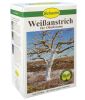 Schacht Wei�anstrich gegen Frostsch�den