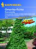 Picea omorika - Omorika-Fichte