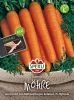 M�hre "Ingot F1" (Saatband 5 m) - Daucus carota L.