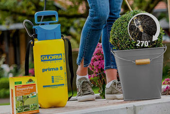 Gloria Spritz- und Sprhgerte