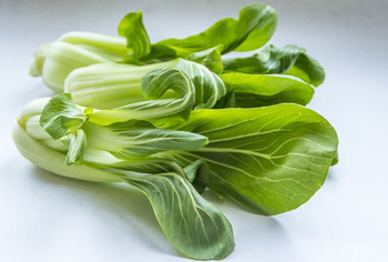 Pak Choi - Brassica rapa ssp. chinensis