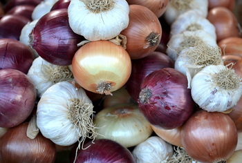 Steckzwiebeln, Knoblauch