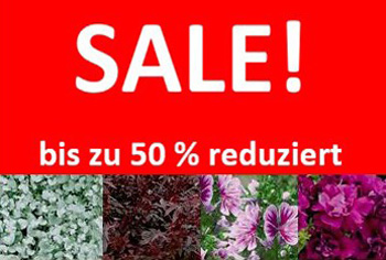Sale - Blumensamen