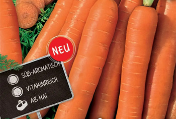 Neuheiten 2023 - Gemse/Kruter