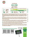 Zucchini 