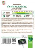 Lauchzwiebel 