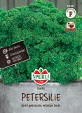 Petersilie "Darki" - Petroselinum crispum