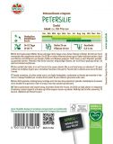 Petersilie 