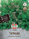 Thymian "Di Roma" - Thymus vulgaris