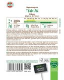 Thymian 