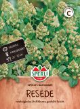 Reseda odorata - Resede