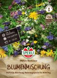 Blhende Waldwiese