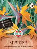 Strelitzia reginae - Paradiesvogelblume