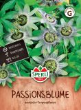 Passiflora caerulea - Passionsblume