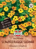 Thunbergia alata "Helios Mischung" - Schwarzäugige Susanne