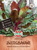 Musa velutina "SPERLI