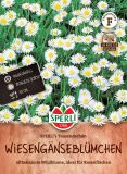 Bellis perennis "SPERLI