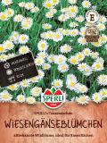 Bellis perennis "SPERLI