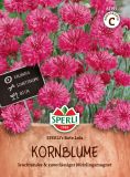 Centaurea cyanus "SPERLI