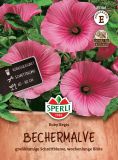 Lavatera trimestris "Ruby Regis" - Bechermalve