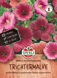 Malope trifida "SPERLI
