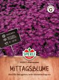 Delosperma floribunda "SPERLI