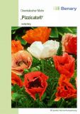 Papaver orientale "Pizzicato Mischung" - Trkischer Mohn