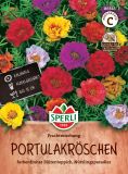 Portulaca grandiflora "Prachtmischung" - Portulakrschen