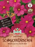 Cosmos bipinnatus "SPERLI
