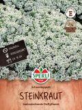 Lobularia maritima "SPERLI