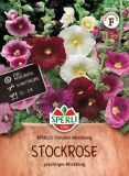 Alcea rosea "SPERLI