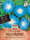 Ipomoea tricolor "SPERLI